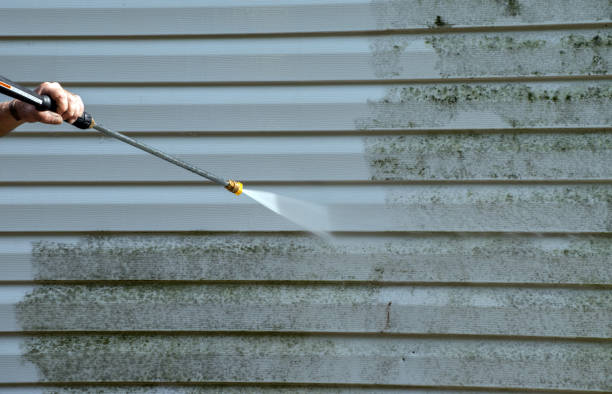 Best Driveway Pressure Washing  in New Market, AL